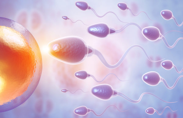 Surgical Sperm Retrieval Trinidad And Tobago Ivf And Fertility Centre